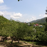 Продажа земельного участка в Лазаревском районе пос. Шхафит