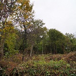 Земельный участок в Катковой щели. 