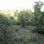 Земельный участок в посёлке Шхафит