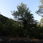 Земельный участок в посёлке Шхафит