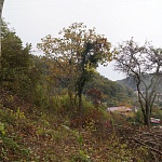 Земельный участок в Катковой щели. 